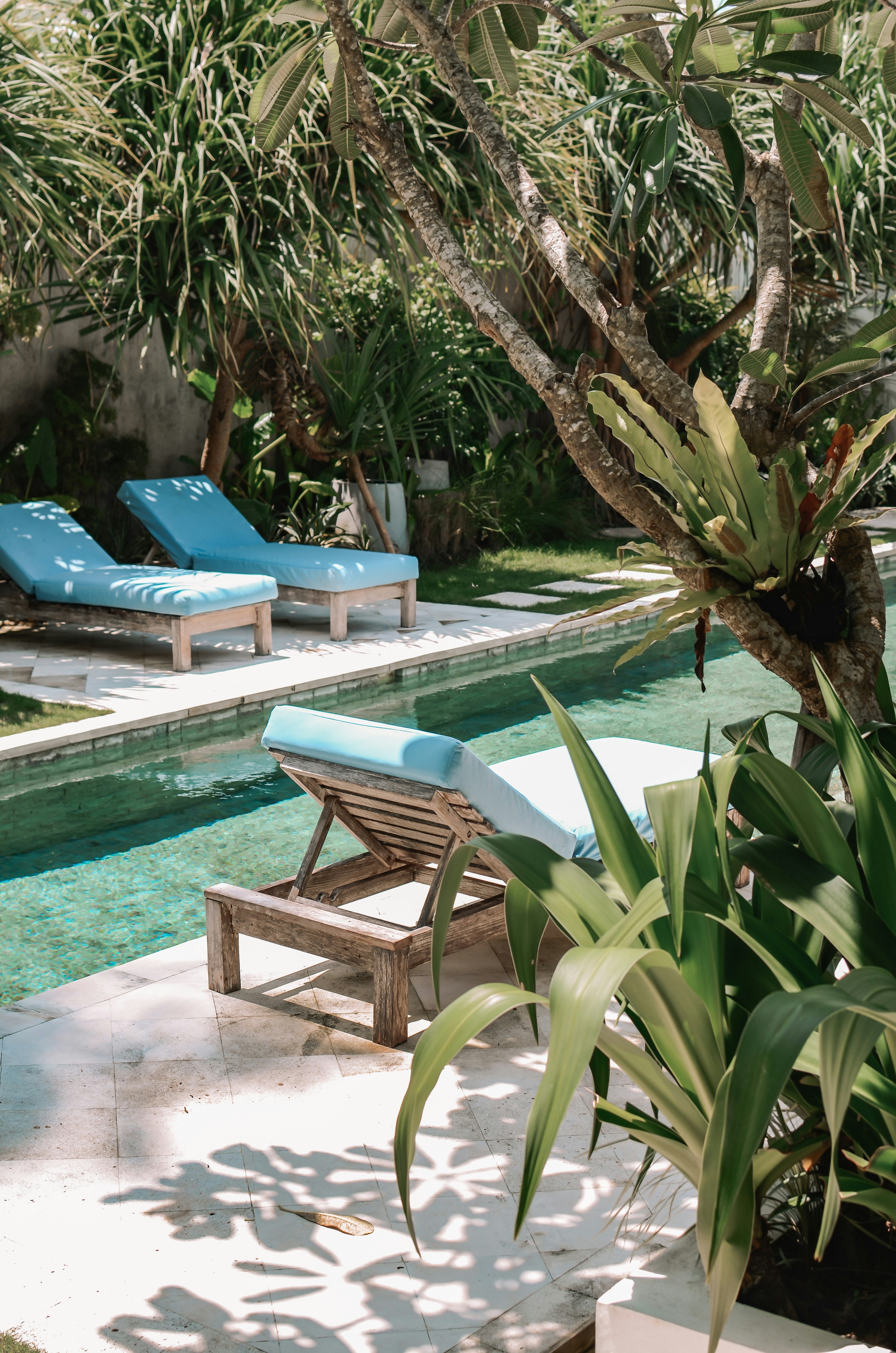 Piscine villa luxe Île de Ré - Conciergerie Serenis